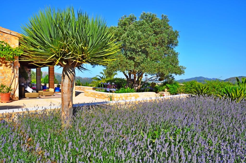 ????????????????????????????????????